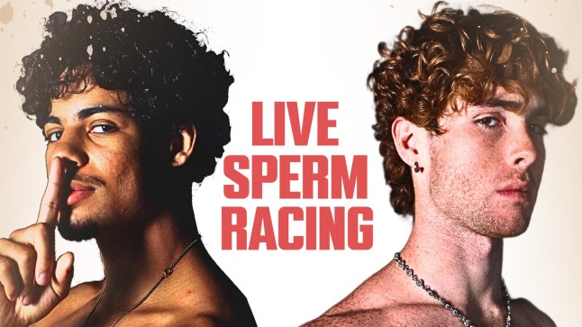Sperm race
